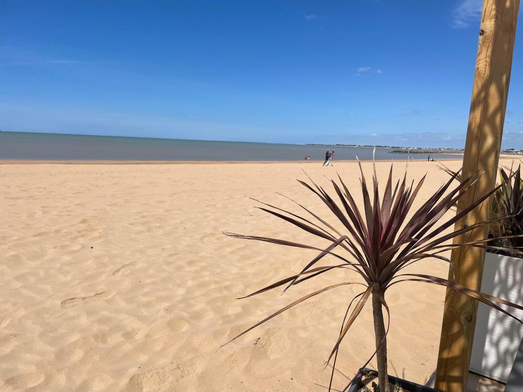 Acadie Saint Victor - Hotel Restaurant - Face Mer - Chatelaillon Plage Экстерьер фото